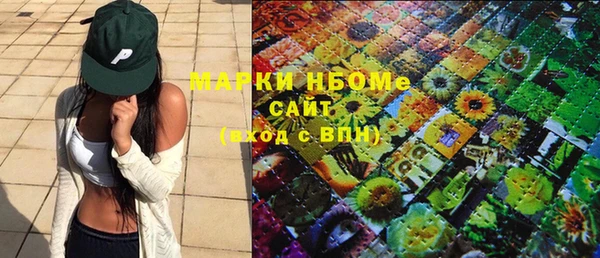 индика Волоколамск