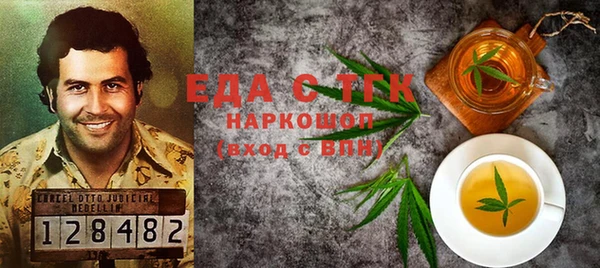 индика Волоколамск