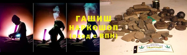 индика Волоколамск
