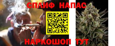 гидропоника Гусь-Хрустальный