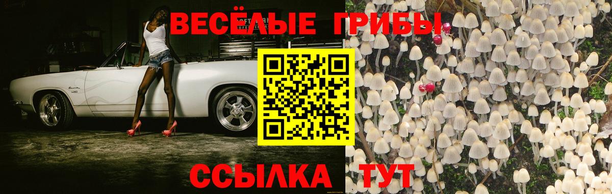 Галлюциногенные грибы прущие грибы  Вход с VPN  Мариинск 