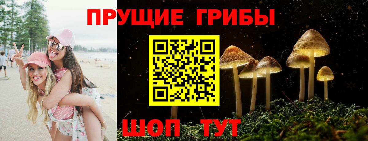 Псилоцибиновые грибы Psilocybine cubensis Мариинск